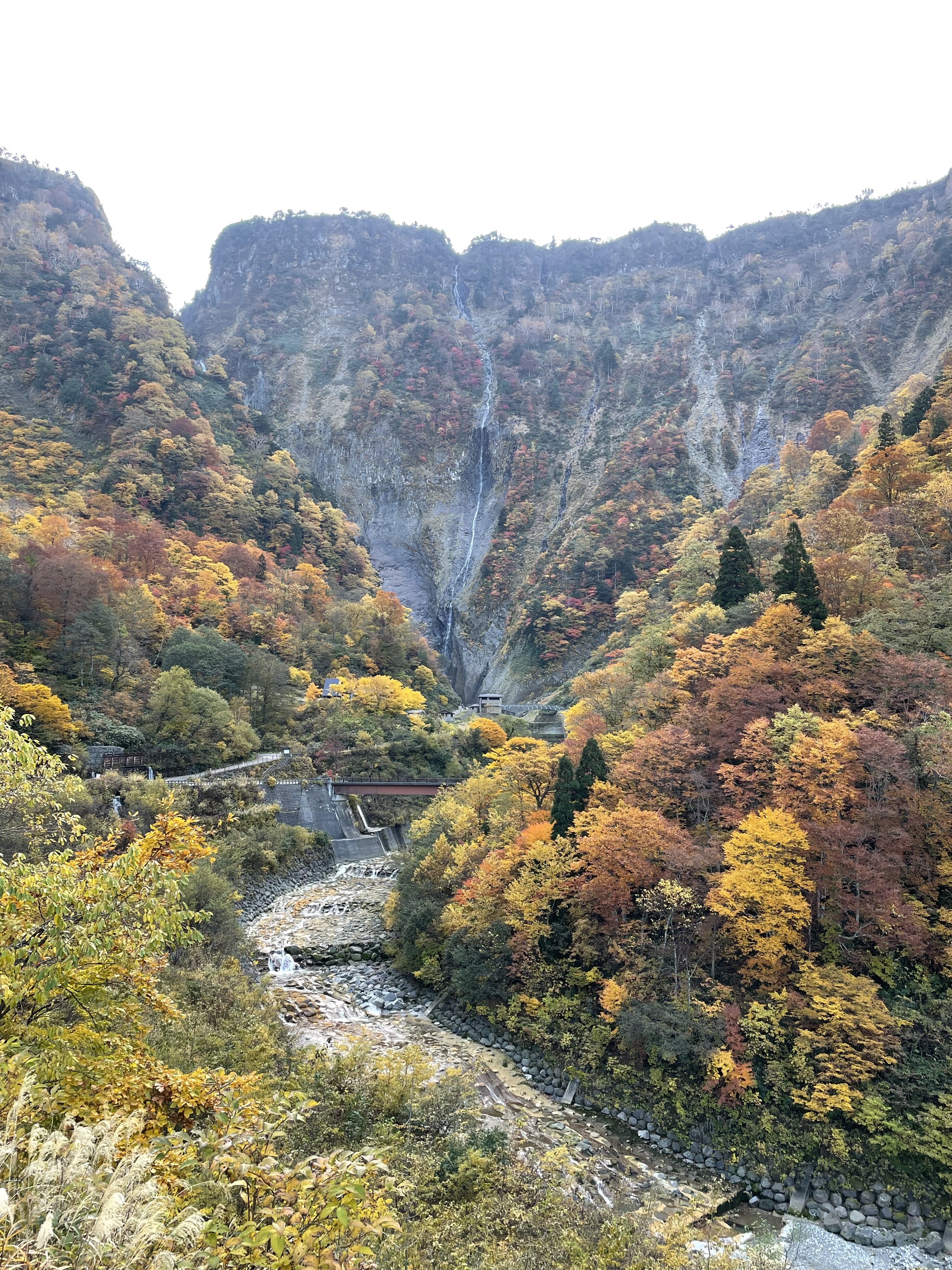 電動シニアカーで行く『落差日本一』称名滝と立山吉峰温泉ツアー